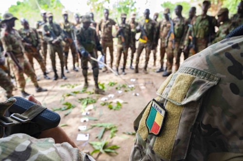 Des militaires béninois en opération.