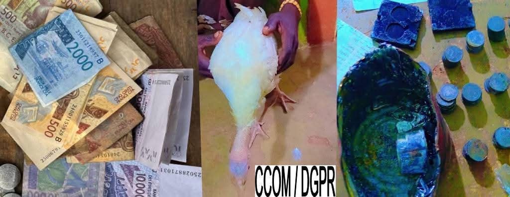 Covè : la police saisit plus de 2 millions de FCFA de faux billets en recherchant des dindons volés