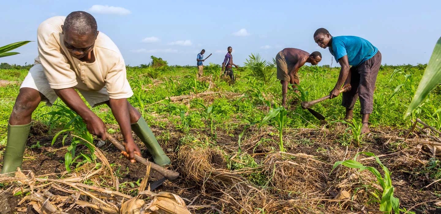 Des agriculteurs au champ. Image d'illustration