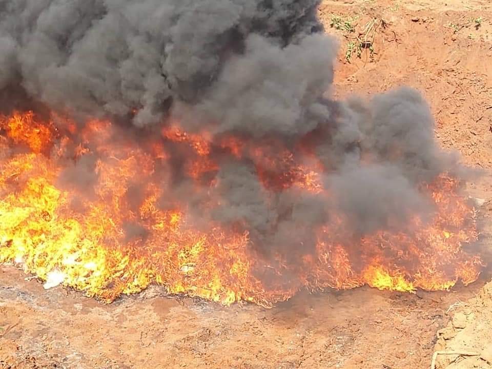 Incinération de drogue à Ouidah. Images d'illustration