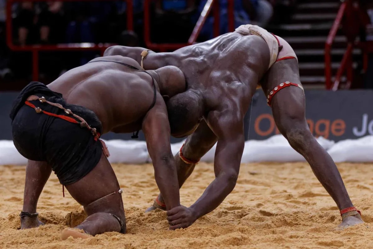 Journalisme et lutte traditionnelle en Afrique de l’Ouest : l’AJSL officiellement portée sur les fonts baptismaux