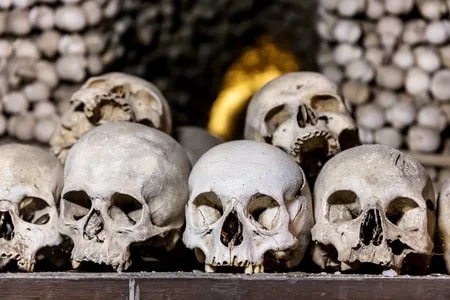Profanation de tombe aux États-Unis : plus de 100 crânes et restes humains retrouvés dans le sous-sol d'un Américain