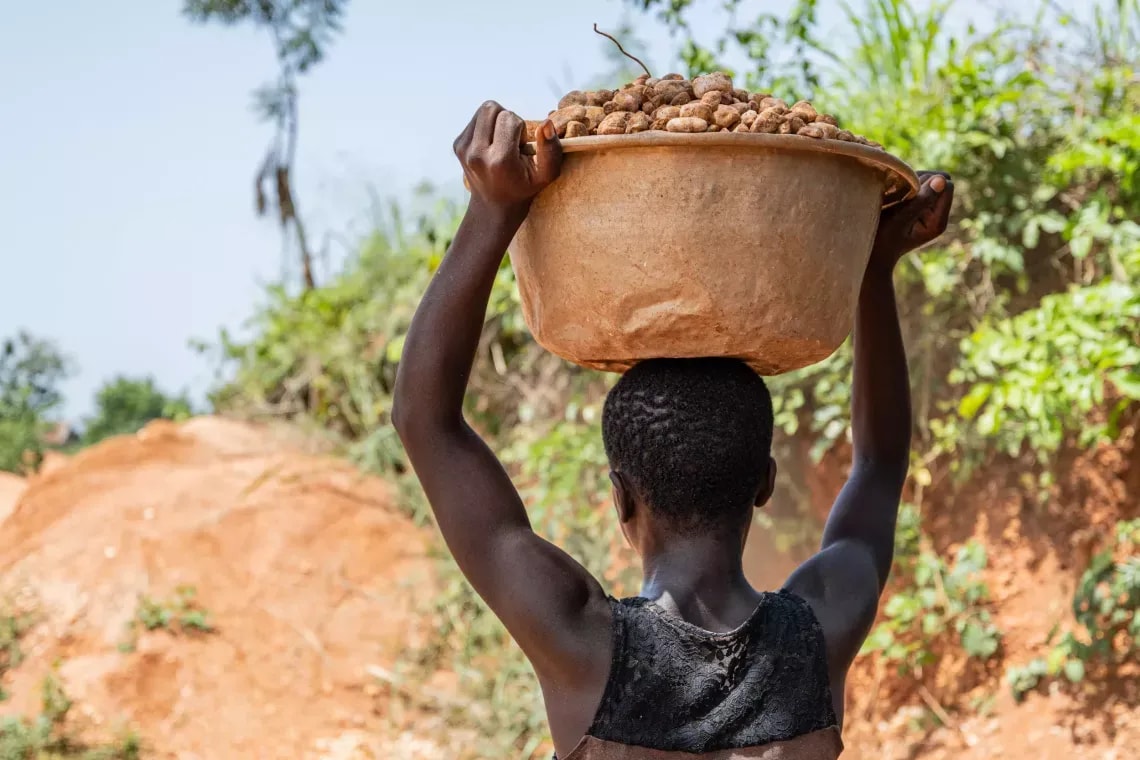 Travail des enfants : 19,9% des enfants âgés de 5 à 17 ans sont concernés au Bénin, le gouvernement invite à dénoncer ce fléau
