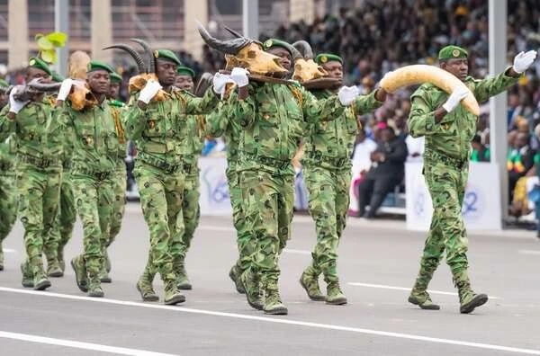 Protection de l’environnement au Bénin : le gouvernement veut recruter plus de 200 spécialistes des Eaux, forêts et chasse