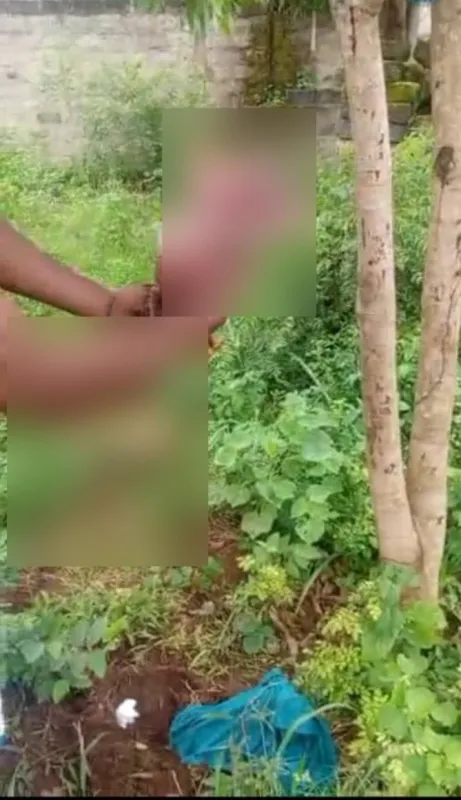 Abomey-Calavi : un nouveau-né enterré vivant et abandonné dans une brousse à Akassato